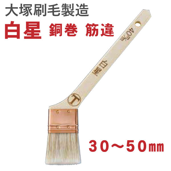 白星（しろぼし）銅巻 筋違（大塚刷毛製造） | 塗料屋さん.com