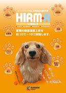 ヒルムA カタログ（関西ペイント）