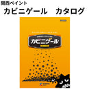 カビニゲール  シリーズ カタログ（関西ペイント）