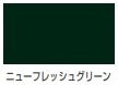 油性トタン用つやあり＜0.7L/1.6L/3L/7L/14L＞（カンペハピオ）