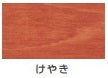 ヌーロステイン＜30ml/70ml＞（カンペハピオ）