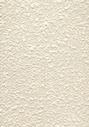 エスケープレミアム無機 (4kg、15kg) (エスケー化研) - 塗料屋さん.com